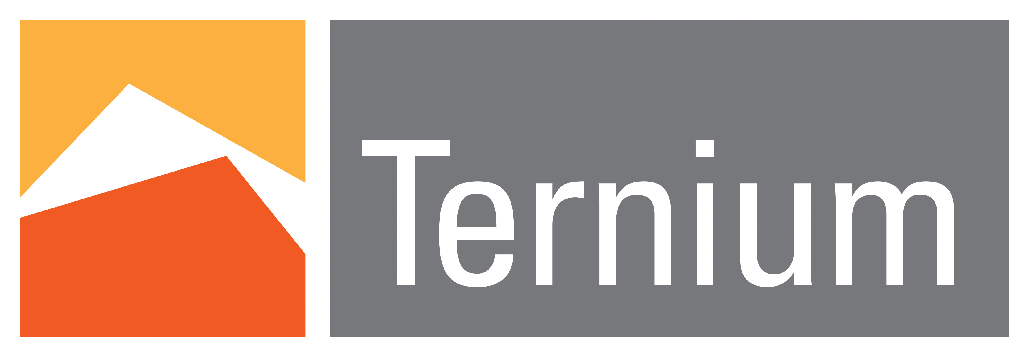 Logomarca Ternium